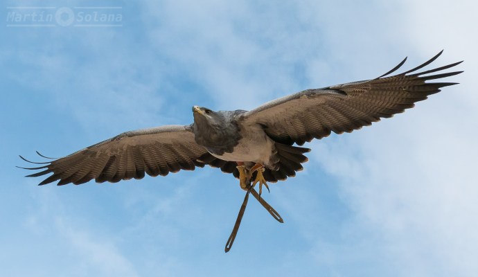 en-vuelo-desde-abajo