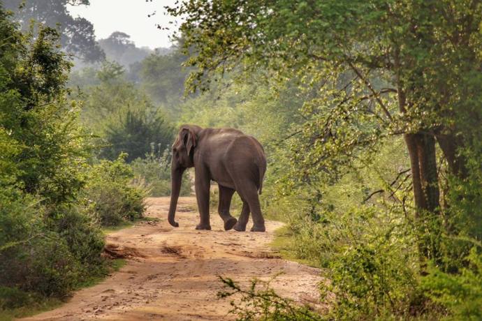 22549660_10155819065291719_721833420522225486_n