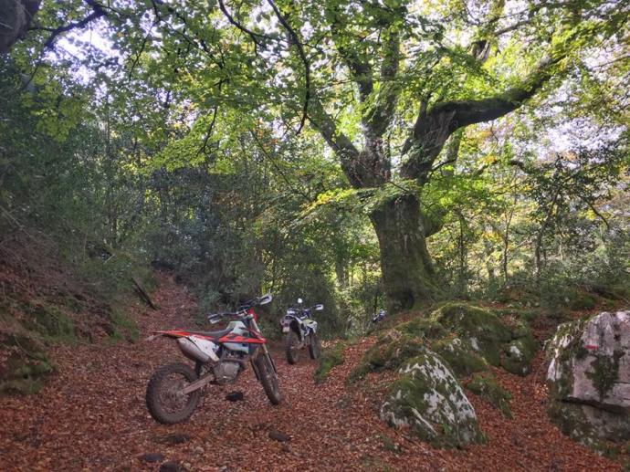 22894037_10155856982896719_5906135251208053178_n